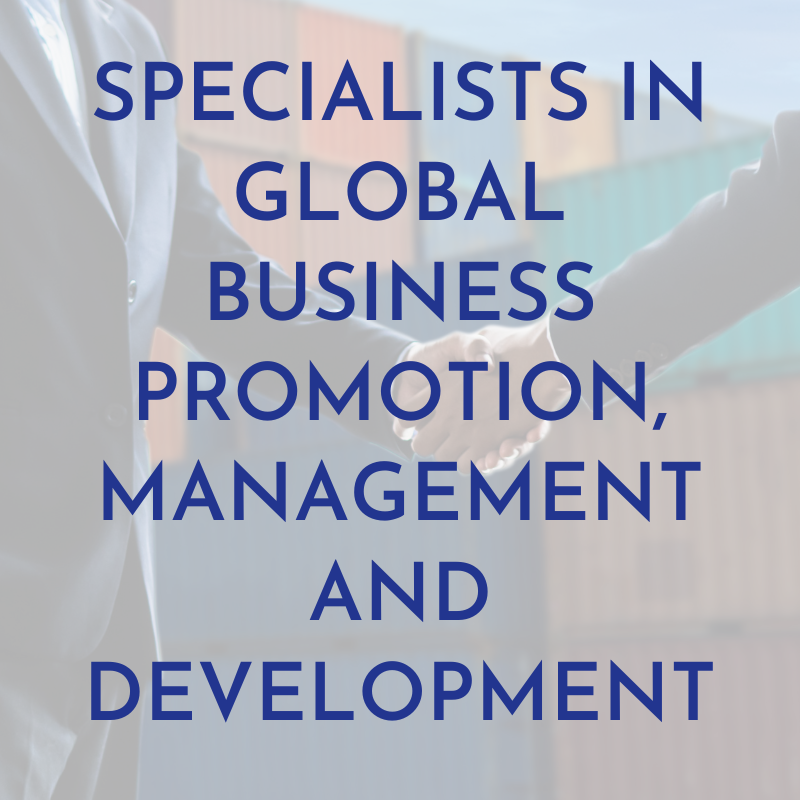 log trust global mib sin fondo (1)