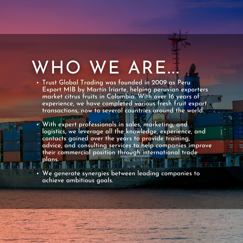 log trust global mib sin fondo (1)